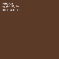 #5B3A28 - Irish Coffee Color Image